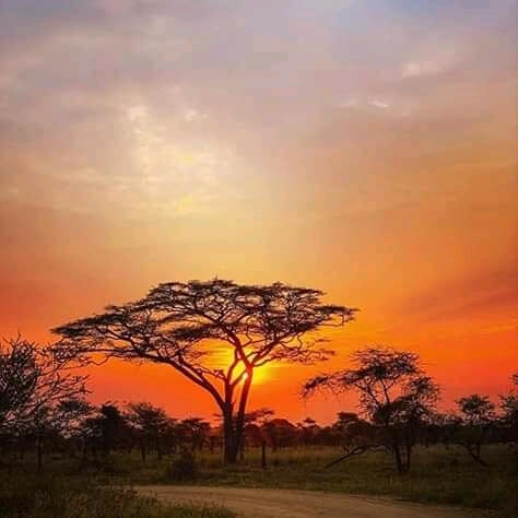 sunset on an African Adventure Tour