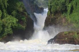 Murchison falls national Park Ugandan safari 2020